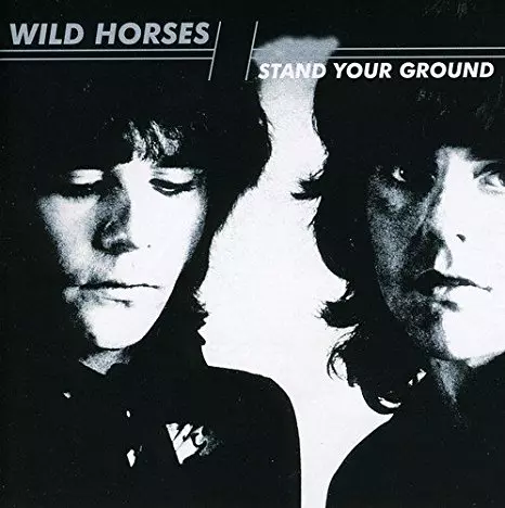 STAND YOUR GROUND/WILD HORSES/ワイルド・ホーシズ｜HARDROCK