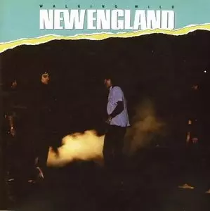 NEW ENGLAND / ニュー・イングランド商品一覧｜OLD ROCK｜ディスク