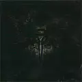 PSYCLON NINE / WE THE FALLEN