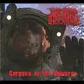 DEAD INFECTION / デッド・インフェクション / CORPSES OF THE UNIVERSE