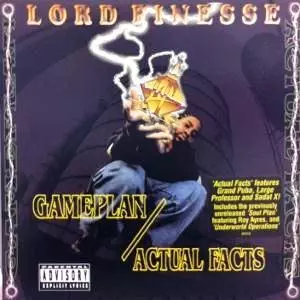 Big L Lord Finesse D.I.T.C関連レコード４枚セット☆ 2026年最新】Yahoo!オークション -lord finesse(レコード)の中古品