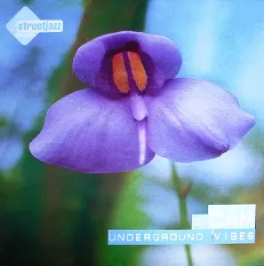 レコード DJ CAM / UNDERGROUND VIBES DJ Cam – Underground Vibes | Releases | Discogs