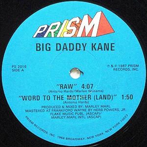 BIG DADDY KANE / ビッグ・ダディ・ケイン / RAW / WORD TO THE MOTHER(LAND) - US ORIGINAL PRESS -