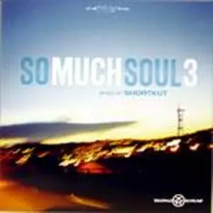 DJ SHORTKUT / 3 SO MUCH SOUL