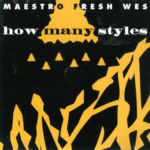 MAESTRO FRESH-WES / HOW MANY STYLES - CDS (MAXI SINGLE) -