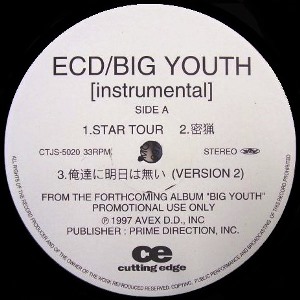 ECD / BIG YOUTH INSTRUMENTAL - PROMO 2LP -