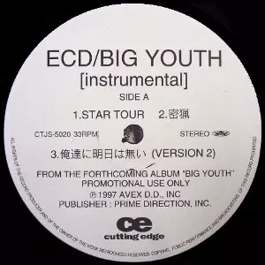 BIG YOUTH INSTRUMENTAL - PROMO 2LP -/ECD｜HIPHOP/R&B｜ディスク
