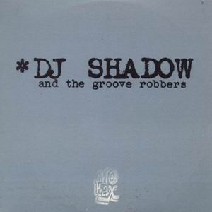 DJ SHADOW / DJシャドウ / IN/FLUX