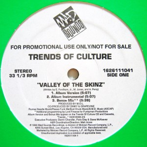 TRENDS OF CULTURE / トレンズ・オブ・カルチャー / VALLEY OF THE SKINZ -US PROMO-