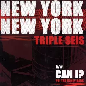 洋楽 newyork newyork / TRIPLE SEIS NEW YORK NEW YORK/TRIPLE SEIS｜HIPHOP/R&B｜ディスクユニオン