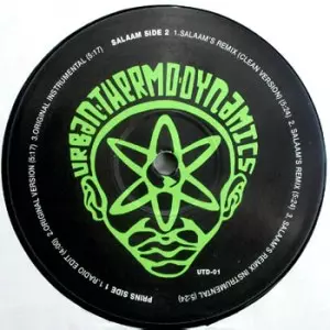 UTD (URBAN THERMO DYNAMICS) / MY KUNG FU