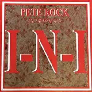 PETE ROCK INTRODUCES I.N.I/I.N.I.｜HIPHOP/R&B｜ディスク