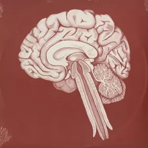 400-INSTRUMENTALS/SHING02｜HIPHOP/R&B｜ディスクユニオン