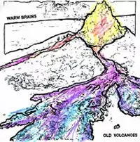 WARM BRAINS / ウォーム・ブレインズ / OLD VOLCANOES