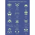 V.A.(IMPROVISED MUSIC FROM JAPAN) / インプロヴァイズド・ミュージック・フロム・ジャパン / IMPROVISED MUSIC FROM JAPAN 2004 / インプロヴァイズド・ミュージック・フロム・ジャパン2004