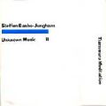 STEFFEN BASHO-JUNGHANS / ステファン・バショー・ジャングハンス / UNKNOWN MUSIC 2