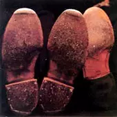 CARNATION / カーネーション / YOUNG WISE MEN