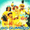 BO GUMBOS / ボ・ガンボス / THE JUNGLE BEAT GOES ON