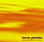 texas pandaa / テキサスパンダ / one gleam after the shadow