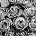 Lantern Parade / ランタンパレード / 回送列車が行く