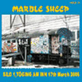 MARBLE SHEEP / マーブルシープ / 2006.Mar.17th SILO 1 TOGING AM INN