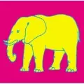ケラ&ザ・シンセサイザーズ / 15 ELEPHANTS(仮)