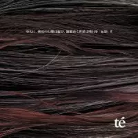 te' / ゆえに、密度の幻想は綻び、蹌踉めく世界は明日を『忘却』す。