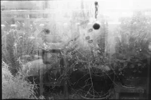 大野まどか / わたしの眼のせい