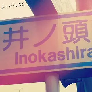 よしむらひらく商品一覧｜ディスクユニオン・オンラインショップ