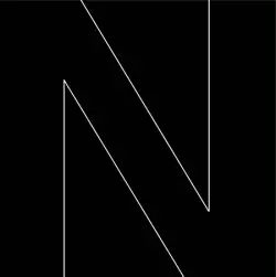 NISENNENMONDAI / にせんねんもんだい / N