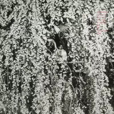 KAN MIKAMI / 三上寛 / 負ける時もあるだろう
