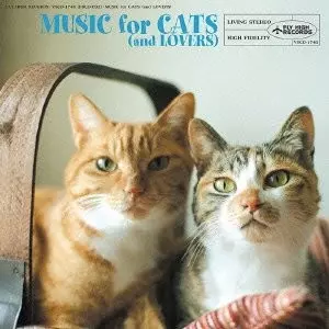オムニバス(山田稔明、玉城ちはる、南波志帆、プレイタイム・ロック 他) / 猫と音楽の蜜月