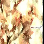 MAYFLY / メイフライ / MAYFLY