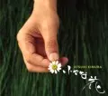 ATSUKI KIMURA / 木村充揮 / 小さな花