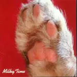 MILKY / ミルキー / ミルキータイム