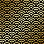 朝崎郁恵×ヨシダダイキチ / はまさき