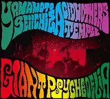 山本精一&ACID MOTHERS TEMPLE商品一覧｜JAZZ｜ディスク