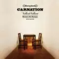 CARNATION / カーネーション / Velvet Velvet(初回限定盤)