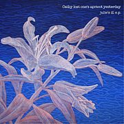 julie's ill e.p. /CATHY LOST ONE'S APRICOT YESTERDAY ｜日本のロック｜ディスクユニオン・オンラインショップ｜diskunion.net
