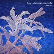 julie's ill e.p. /CATHY LOST ONE'S APRICOT YESTERDAY｜日本のロック