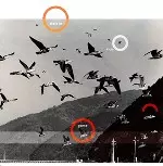 oono yuuki / オオノ・ユウキ / stars in video game