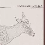 SPEAKER GAIN TEARDROP / PARTICLE PROTOCOL