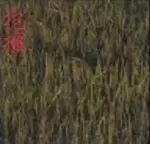 のいづんずり商品一覧｜JAZZ｜ディスクユニオン・オンライン