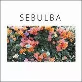 SEBULBA/踊ってばかりの国｜日本のロック｜ディスクユニオン