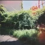 初期作品集 Early Works 樋口寿人　PSFD-204 初期作品集 Early Works 樋口寿人 PSFD-204 - ⁄ 初期作品集 Sound The