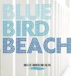 【中古】 BLUE BIRD BEACH 2 / BLUE BIRD BEACH BLUE BIRD BEACH 2 | Red&Beat Ownd