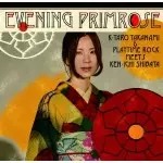 高浪慶太郎とプレイタイム・ロック・ミーツ・柴田健一   / EVENING PRIMROSE