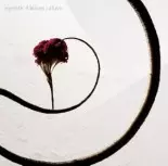 egoistic 4 leaves / aluva