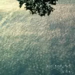 ASAKO NASU / 南壽あさ子 / 回遊魚の原風景