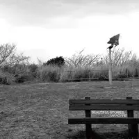 タラチネ / ビューティフル・ストーリーズ